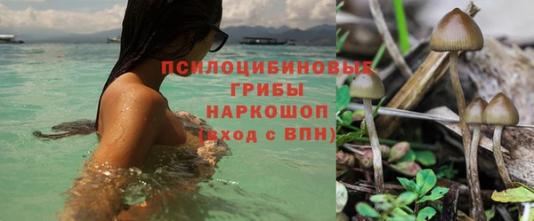 COCAINE Богородицк