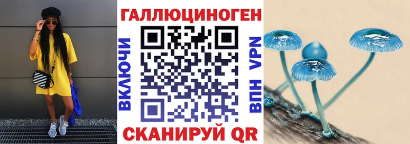 Псилоцибиновые грибы MAGIC MUSHROOMS  цены наркотик  маркетплейс телеграм  Ангарск  blacksprut как зайти 